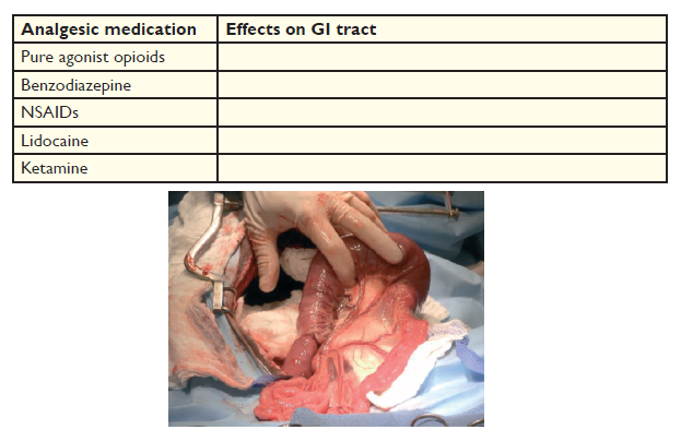 Small Animal Emergency and Critical Care Medicine 2E Q13.png
