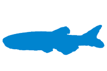 Fish-logo.png