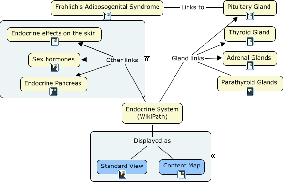 WikiPath Endocrine Content Map.jpg