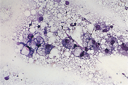 Cytology 06a.jpg