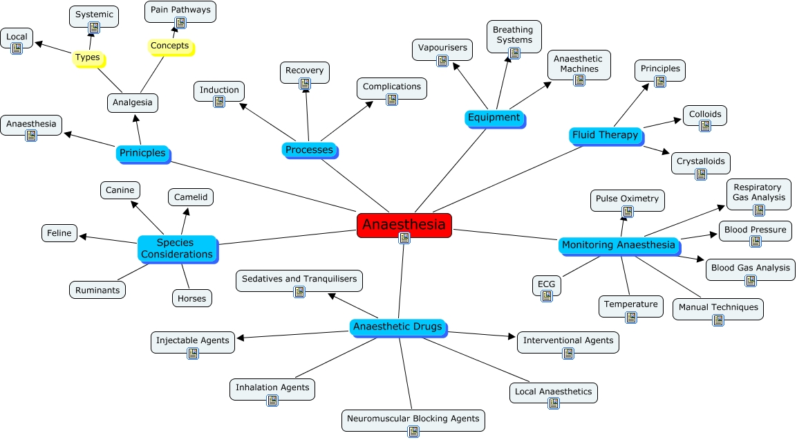Anaesthesia Content Map