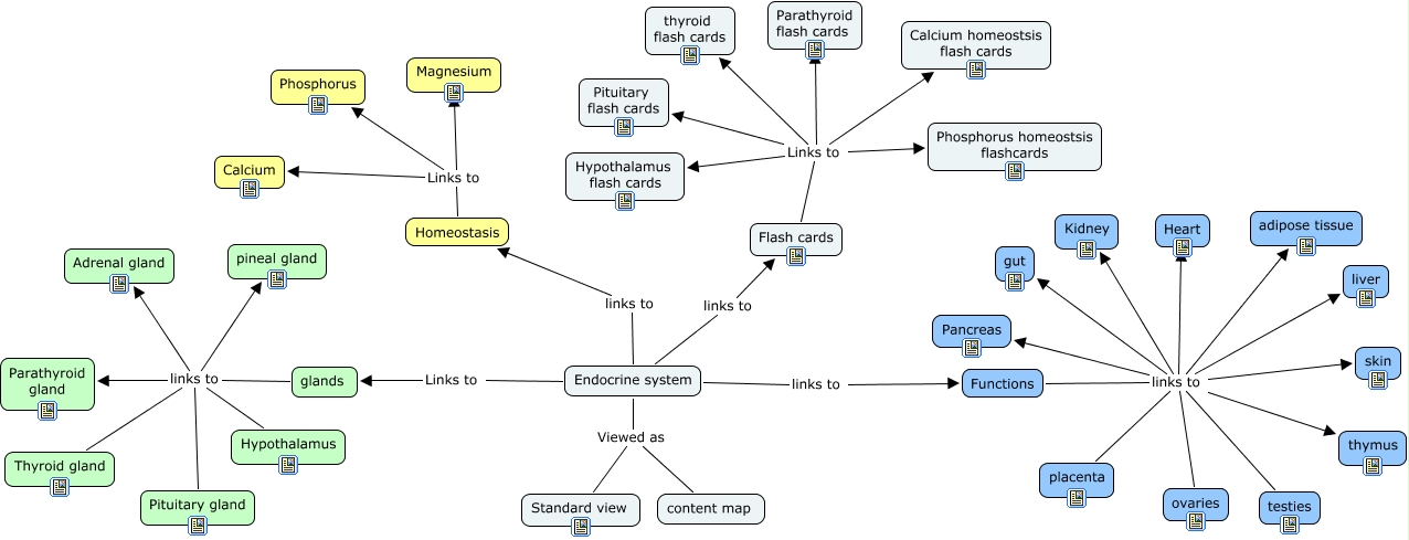 AnyPhys Endocrine Content Map 