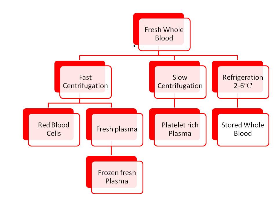 Production of blood products.jpg