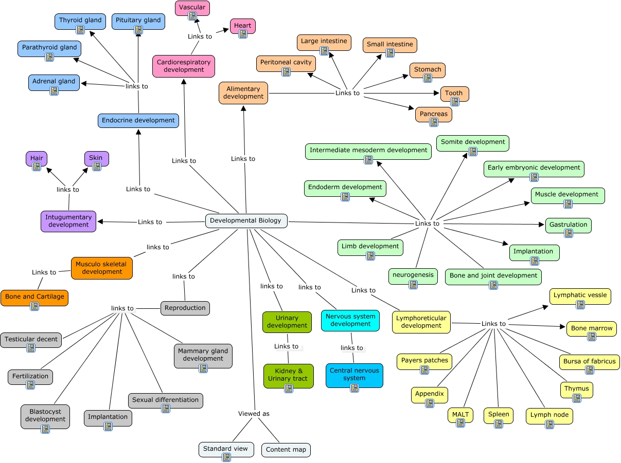 AnyPhys Developmental Content Map 