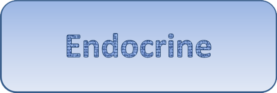 File:Endocrine.png