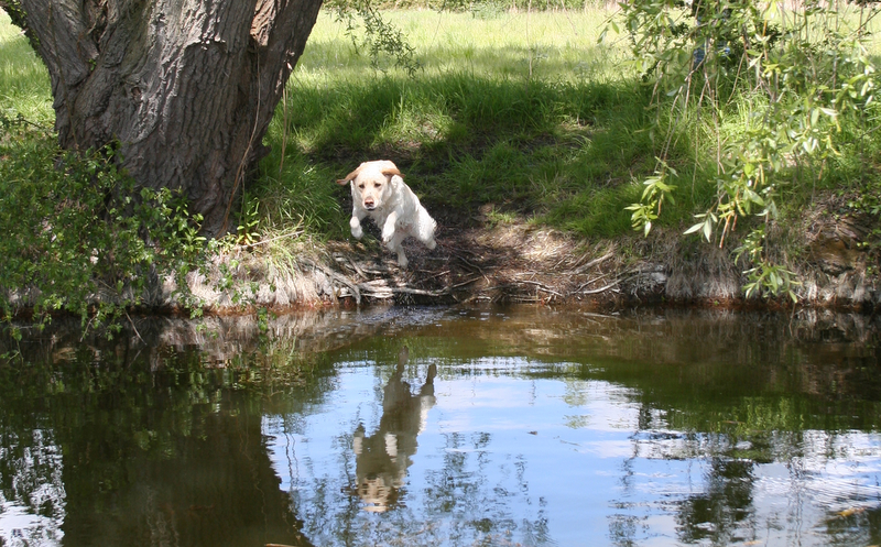 Polly having fun