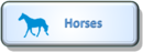 Horse button.png