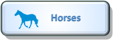 Horse button.png