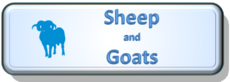 Sheep button.png