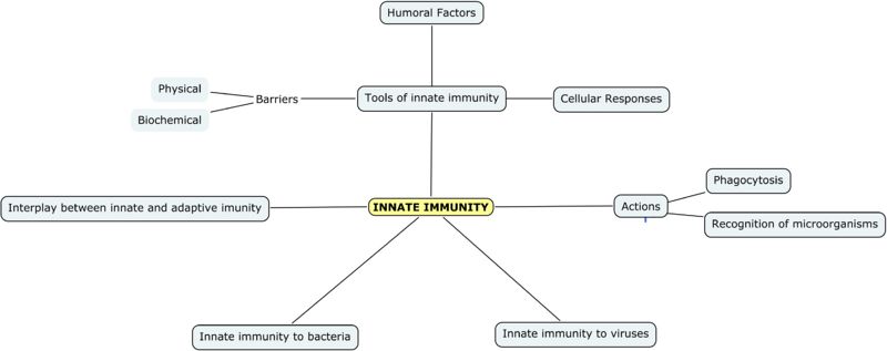 Innate immune System Mind-Map Jenny Sanders RVC2008