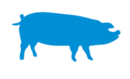Pig-logo.png