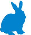 Rabbit logo.png
