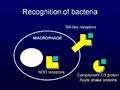 Bacteria PRRs.jpg