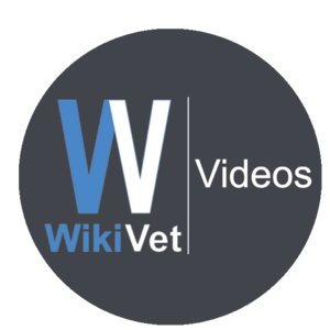 WikiVideos.png