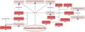 WikiBlood Haematopoiesis and Blood Cells Content Map.jpg