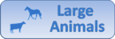 Large-Animals.png