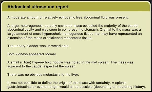 Case 22 abdominal ultrasound.jpg