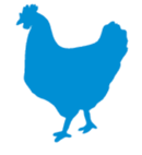 Chicken-logo.png