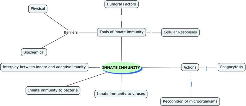 Innate Immune System Mind-Map Jenny Sanders RVC2008