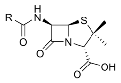 The Core Structure of Penicillin